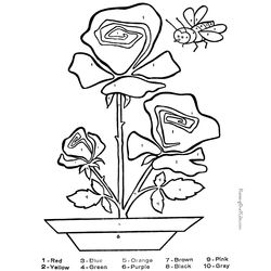 Rosas #29135