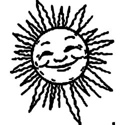 Sol #29229