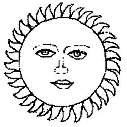 Sol #29247