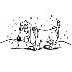 Temporada de Invierno #29486