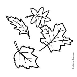 Temporada de Otoño #29539