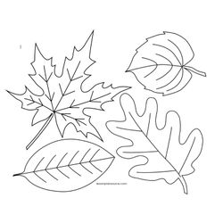 Temporada de Otoño #29592