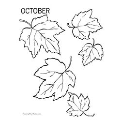 Temporada de Otoño #29593