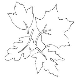 Temporada de Otoño #29612