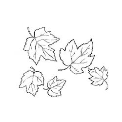 Temporada de Otoño #29616