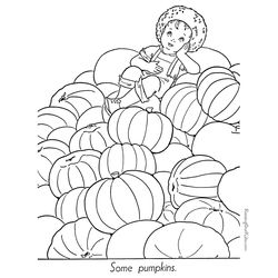 Temporada de Otoño #29631