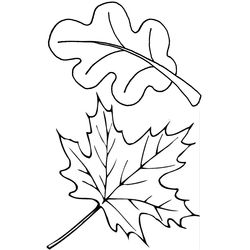 Temporada de Otoño #29642
