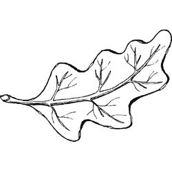 Temporada de Otoño #29646
