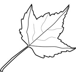 Temporada de Otoño #29674