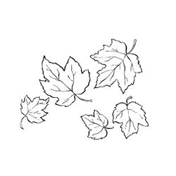 Temporada de Otoño #29677
