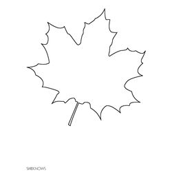 Temporada de Otoño #29682