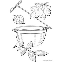 Temporada de Otoño #29686
