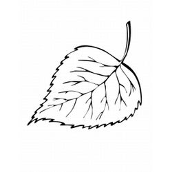 Temporada de Otoño #29700