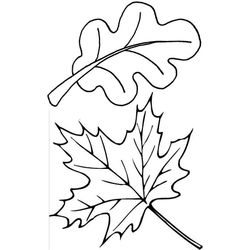 Temporada de Otoño #29706