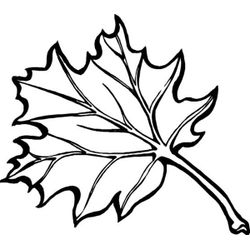 Temporada de Otoño #29743