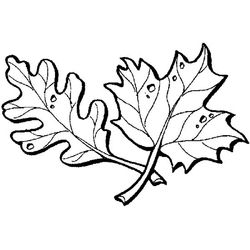 Temporada de Otoño #29756