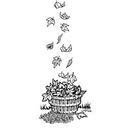 Temporada de Otoño #29786