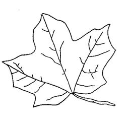 Temporada de Otoño #29797