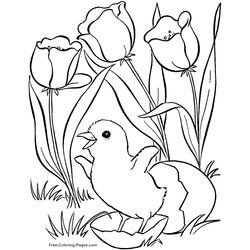 Temporada de Primavera #29820