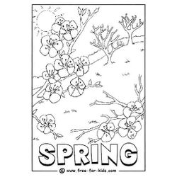 Temporada de Primavera #29831
