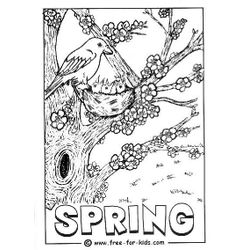 Temporada de Primavera #29864