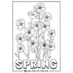 Temporada de Primavera #29913
