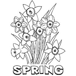 Temporada de Primavera #29924