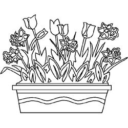 Temporada de Primavera #30010