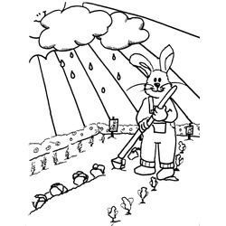 Temporada de Primavera #30060