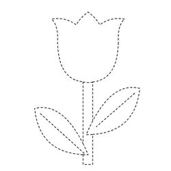 Tulipán #30340