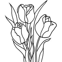 Tulipán #30344