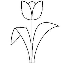 Tulipán #30350