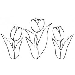Tulipán #30351