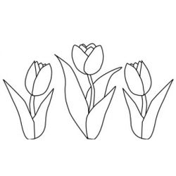 Tulipán #30360