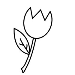 Tulipán #30363