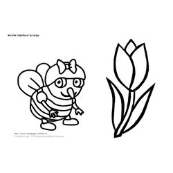 Tulipán #30369
