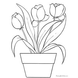 Tulipán #30379