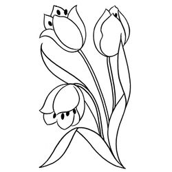 Tulipán #30382
