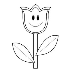 Tulipán #30388