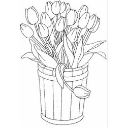 Tulipán #30399