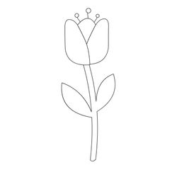 Tulipán #30408
