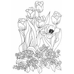 Tulipán #30410