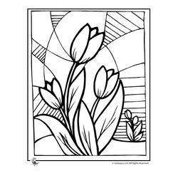 Tulipán #30412