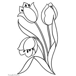 Tulipán #30413