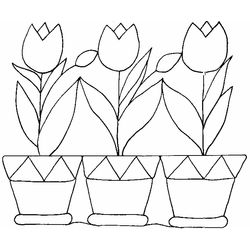 Tulipán #30421