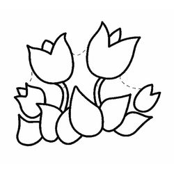 Tulipán #30424