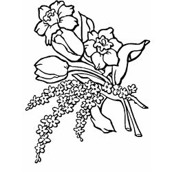 Tulipán #30426