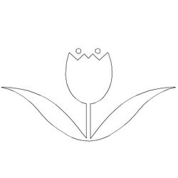 Tulipán #30430