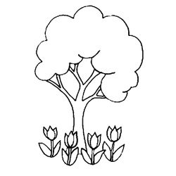 Tulipán #30449