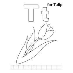 Tulipán #30453